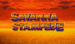 Savanna Stampede