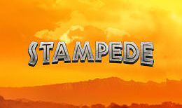 Stampede