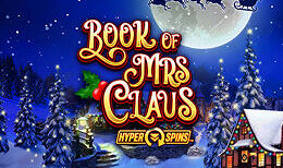 Book Of Mrs Claus