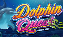 Dolphin Quest