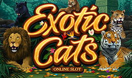 Exotic Cats