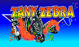 Zany Zebra