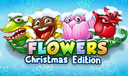 Flowers Christmas