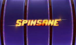 Spinsane
