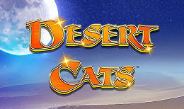 Desert Cats