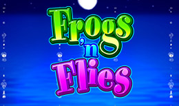 Frogs n Flies