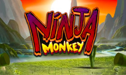 Ninja Monkey