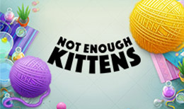 Not Enough Kittens