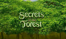 Secrets of the Forest