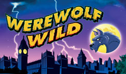 Werewolf Wild