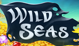 Wild Seas