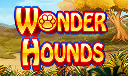 Wonder Hounds