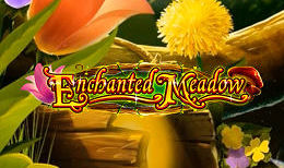 Enchanted Meadow
