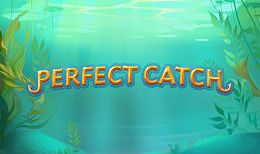 Perfect Catch