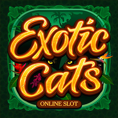 Exotic Cats