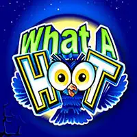 What A Hoot