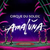 Cirque Du Soleil Amaluna