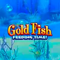 Gold Fish Feeding Time