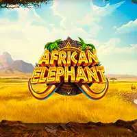 African Elephant
