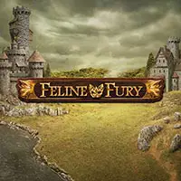 Feline Fury