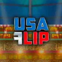 USA Flip