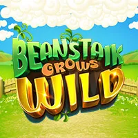 Beanstalk Grows Wild