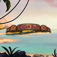 Calico Jack