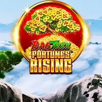 Fortunes Rising
