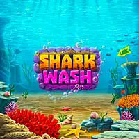 Shark Wash